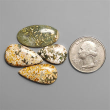 Ocean Orbicular Jasper Lot