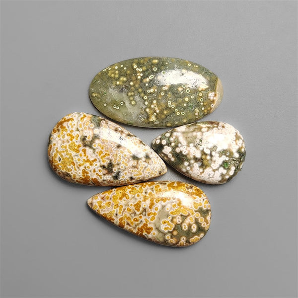 Ocean Orbicular Jasper Lot