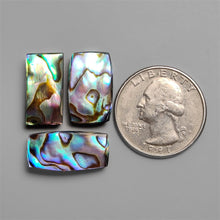Abalone Shell Cabochons Lot ( Backed)