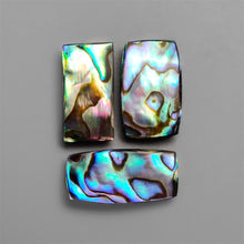 Abalone Shell Cabochons Lot ( Backed)