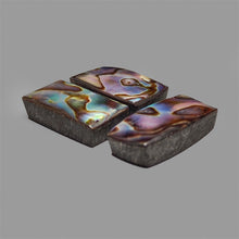 Abalone Shell Cabochons Lot ( Backed)