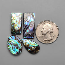Abalone Shell Cabochons Lot ( Backed)