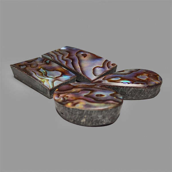 Abalone Shell Cabochons Lot ( Backed)