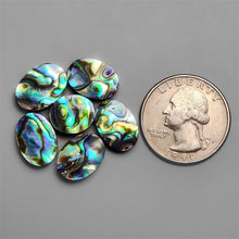 Abalone Shell Cabochons Lot ( Backed)