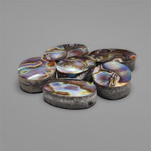 Abalone Shell Cabochons Lot ( Backed)