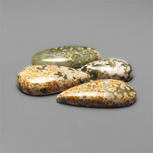 Ocean Orbicular Jasper Lot