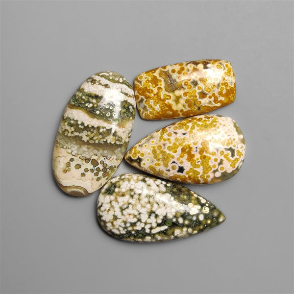 Ocean Orbicular Jasper Lot