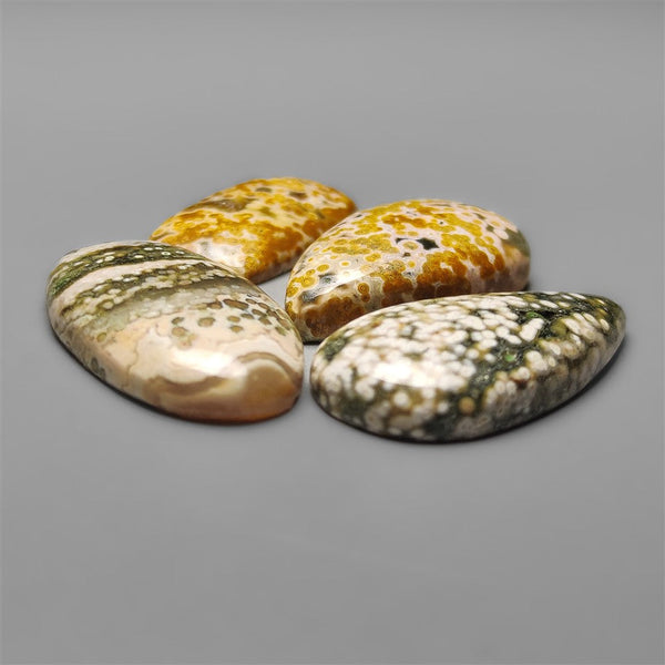 Ocean Orbicular Jasper Lot