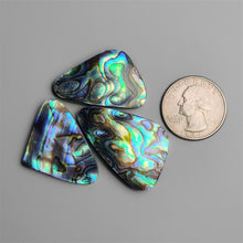 Abalone Shell Cabochons Lot (backed)