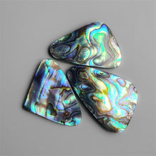 Abalone Shell Cabochons Lot (backed)