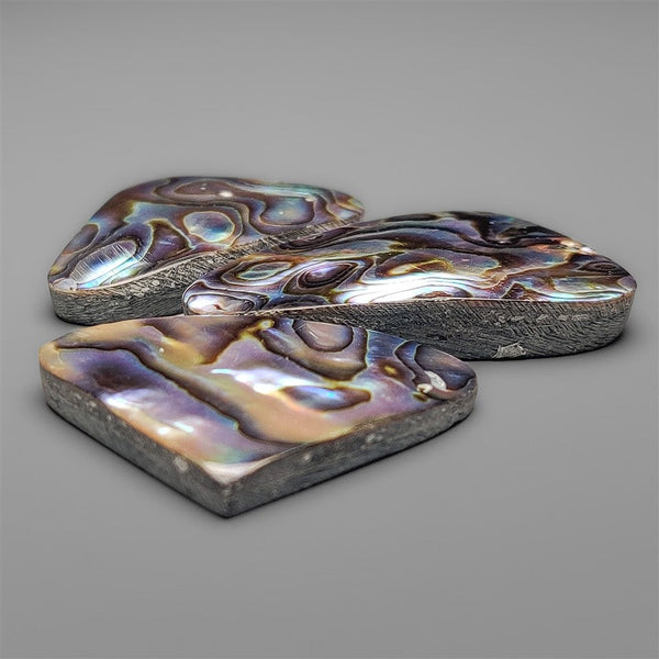 Abalone Shell Cabochons Lot (backed)