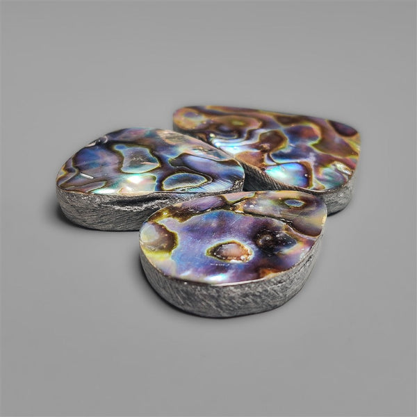 Abalone Shell Cabochons Lot (backed)