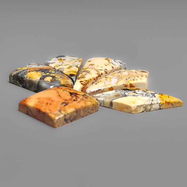 Maligano Jasper Cabochons Lot