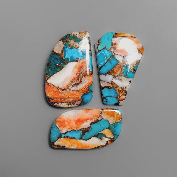 Spiny Oyster Mohave Turquoise Lot-4551 | Gemstone for sale