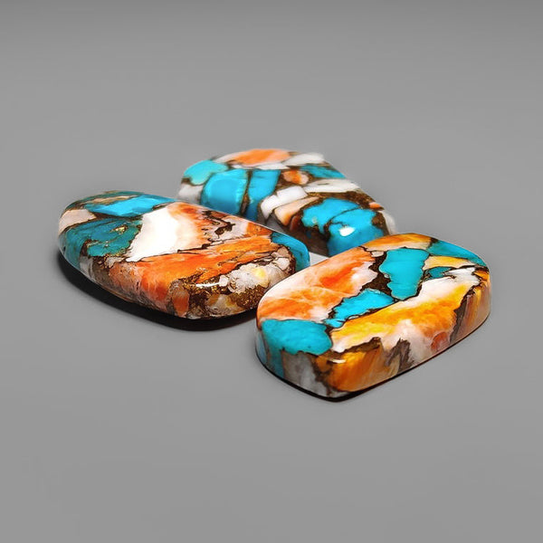 Spiny Oyster Mohave Turquoise Lot