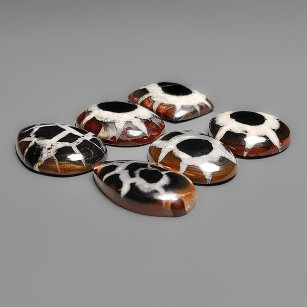 Black Septarian Cabochons Lot