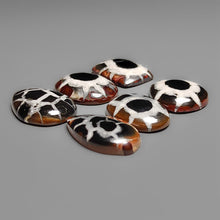 Black Septarian Cabochons Lot