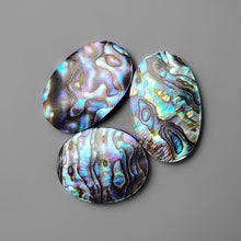 Purple Abalone Shell Cabochons Lot-4569 | Gemstone for sale