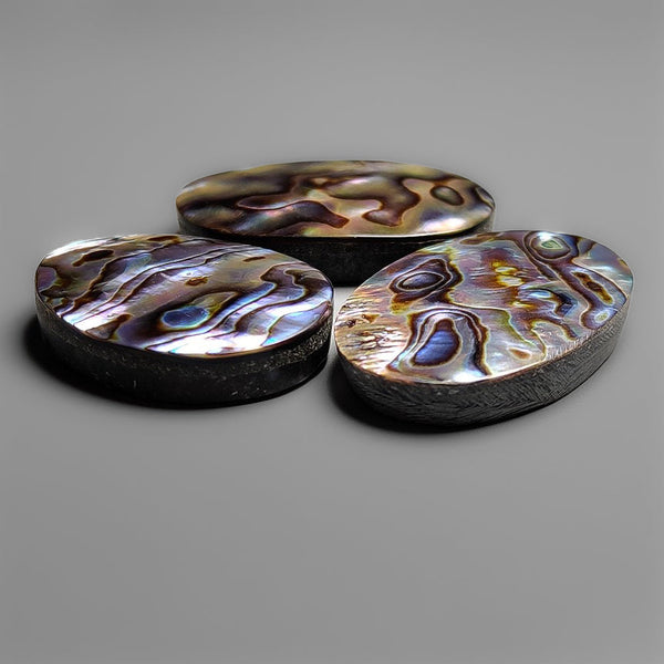Purple Abalone Shell Cabochons Lot