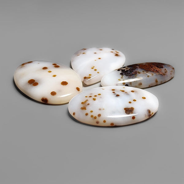 Polka Dot Agate Cabochons Lot