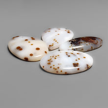 Polka Dot Agate Cabochons Lot