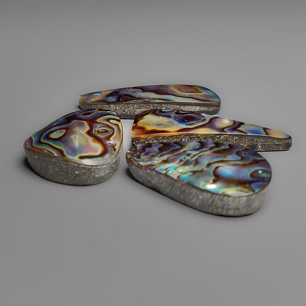 Abalone Shell Cabochons Lot (backed)