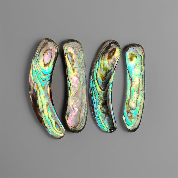 Abalone Shells Lot-4520 | Gemstone for sale