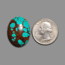 Hubie Turquoise Cabochon-5275 | Gemstone for sale | Gemstones by Lapidary Artist