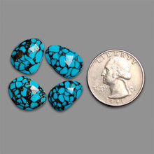 Rose Cut Kingman Turquoise Lot (compressed)-5283 | Gemstone for sale | Gemstones by Lapidary Artist