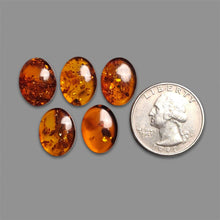 Baltic Amber Cabochons Lot-5287 | Gemstone for sale | Gemstones by Lapidary Artist