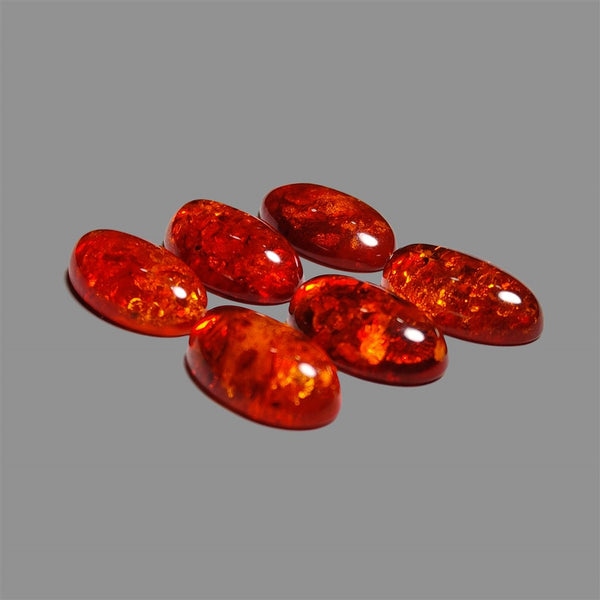 Baltic Amber Cabochons Lot