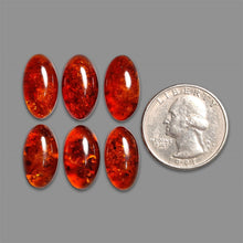 Baltic Amber Cabochons Lot-5301 | Gemstone for sale | Gemstones by Lapidary Artist