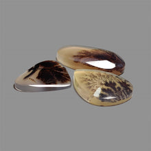 Scenic Agate Cabochons Lot