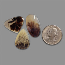 Scenic Agate Cabochons Lot-5312 | Gemstone for sale | Gemstones by Lapidary Artist