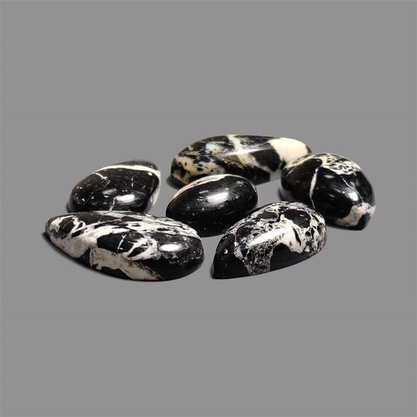 White Buffalo Turquoise Cabochons Lot
