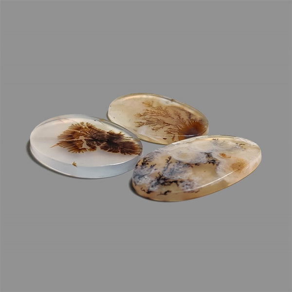 Scenic Agate Cabochons Lot