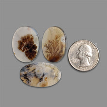 Scenic Agate Cabochons Lot-5328 | Gemstone for sale | Gemstones by Lapidary Artist