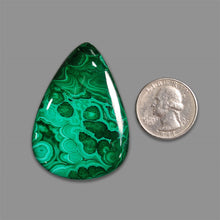 Malachite Cabochon-5334 | Gemstone for sale | Gemstones by Lapidary Artist