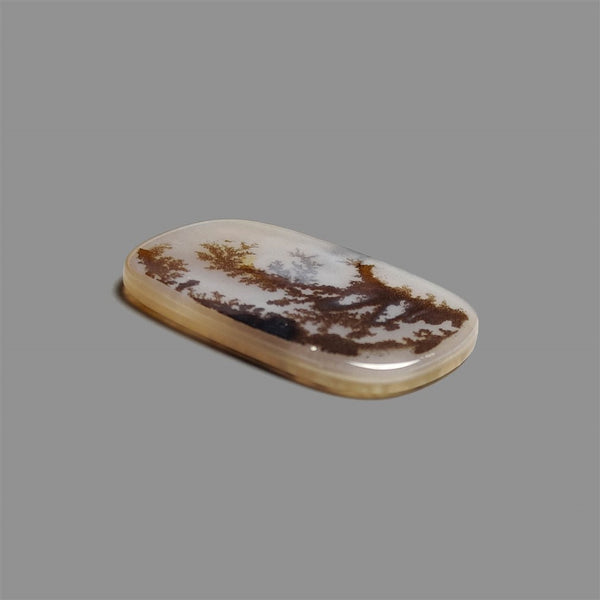 Large Scenic Agate Cabochon