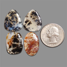Russian Dendritic Agate Cabochons Lot