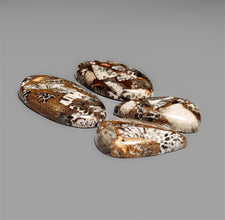 Black Fossil Coral And Native Copper Mosaic Cabochon
