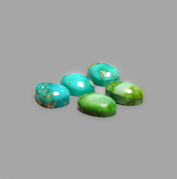 Sonoran Gold Turquoise Cabochons Lot