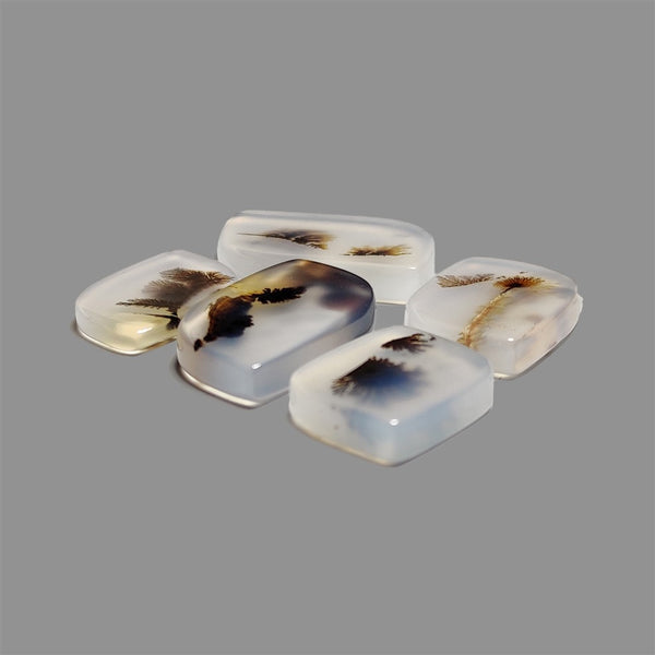 Scenic-Agate-Cabochons-Lot-4971 | Gemstone for sale | Gemstones by Lapidary Artist