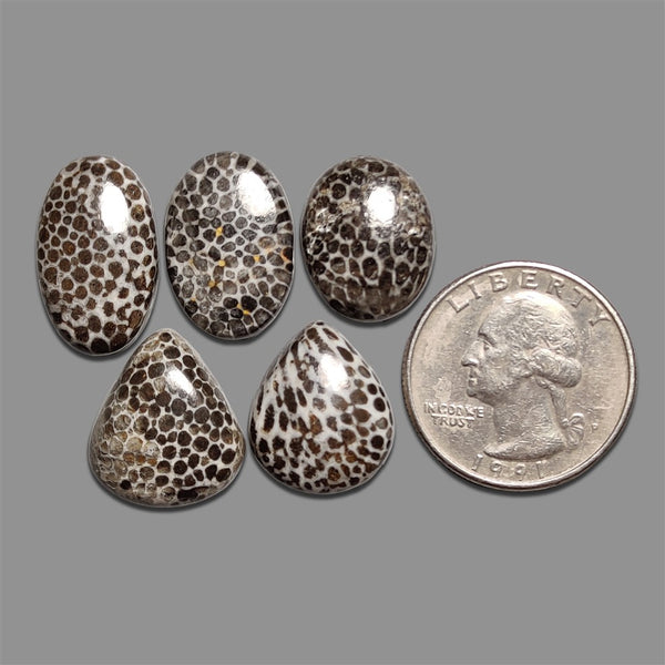Gemstone for sale, Buy gemstone online by the Lapidary Artist