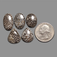 Gemstone for sale, Buy gemstone online by the Lapidary Artist