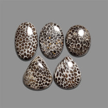 Black-Fossil-Coral-Cabochons-Lot-5055 | Gemstone for sale | Gemstones by Lapidary Artist