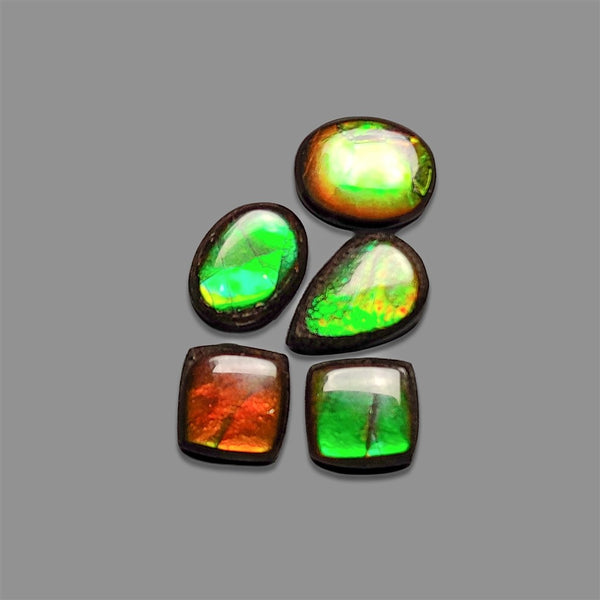 AAA-Ammolite-Cabochons-Lot-5056 | Gemstone for sale | Gemstones by Lapidary Artist