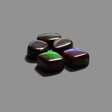 AAA Ammolite Cabochons Lot