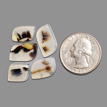 Scenic Agate Cabochons Lot