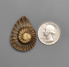 Rare Pyritized Ammonite Negative Fossil-5480 | Gemstone for sale | Gemstones by Lapidary Artist
